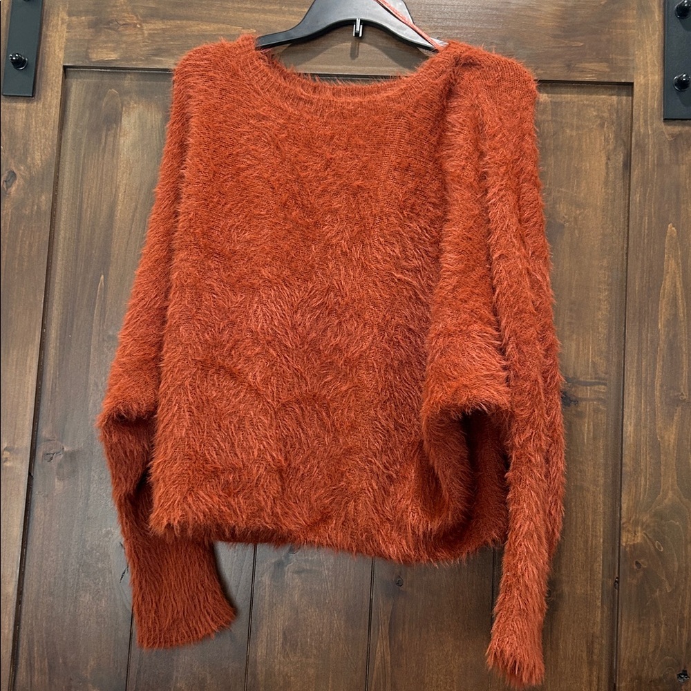 E430 Wearing Your Heart on Your Sleeve Fuzzy Soft Sweater Size M Burnt Orange